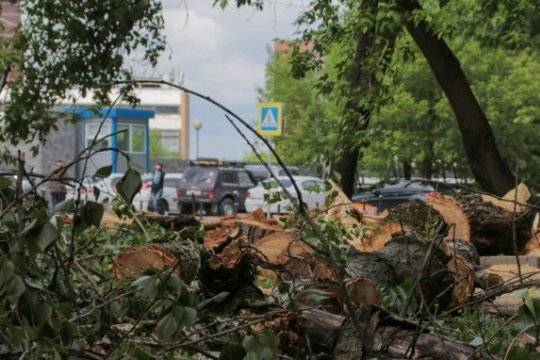 Число жертв разрушительного урагана в Свердловской области увеличилось до четырех - versia.ru - Свердловская обл.