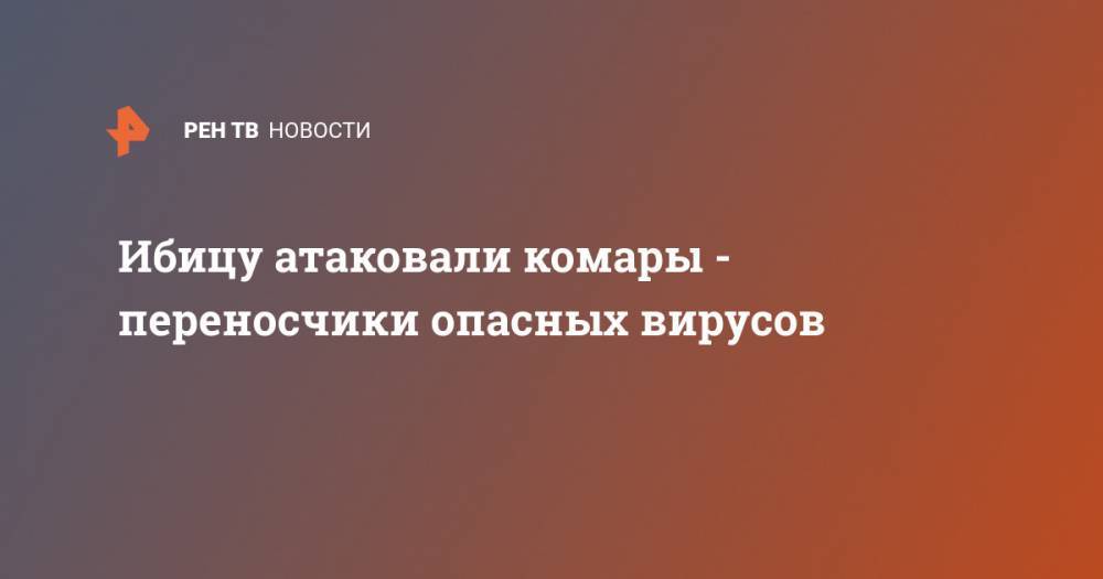 Ибицу атаковали комары - переносчики опасных вирусов - ren.tv - Россия