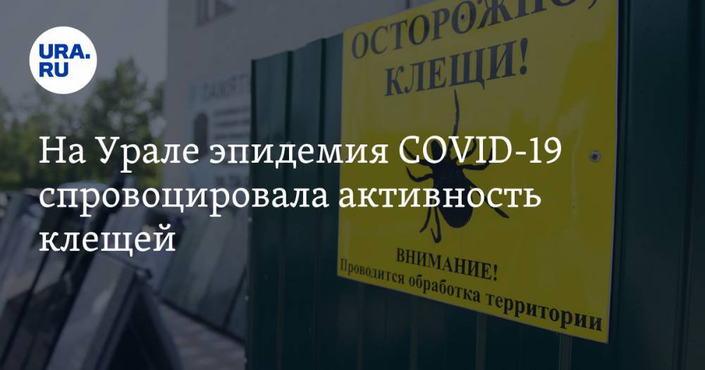 Александр Иванов - На Урале эпидемия COVID-19 спровоцировала активность клещей - ura.news - Россия - Свердловская обл.