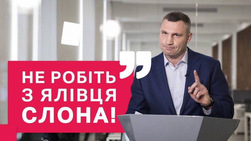 Виталий Кличко - Кличко: Каштаны на Крещатике будут расти! - focus.ua - Киев - Киев