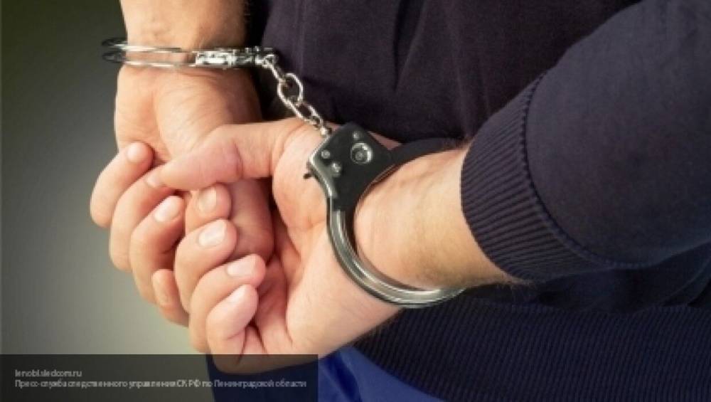 Полиция задержала группу подозреваемых в похищении гендиректора купчинского предприятия - nation-news.ru - Санкт-Петербург