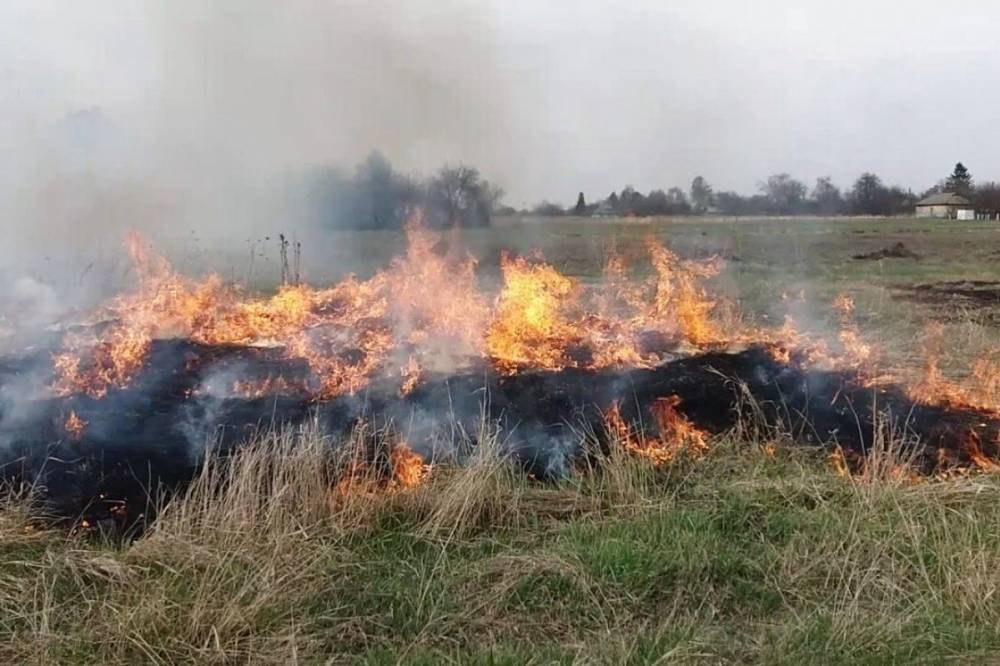 В Украине объявили чрезвычайный уровень пожарной опасности - vkcyprus.com - Украина - Киев - Ивано-Франковская обл. - Черновицкая обл. - г. Александрия - Гсчс