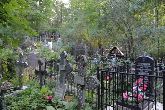 Евгений Брюн - В России стали чаще умирать трудоспособные граждане - versia.ru - Россия