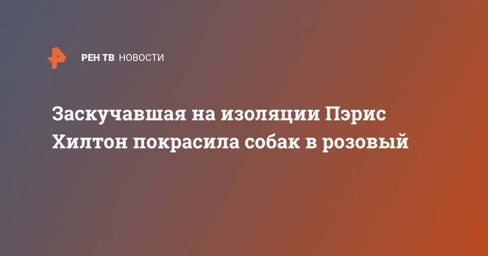 Пэрис Хилтон - Заскучавшая на изоляции Пэрис Хилтон покрасила собак в розовый - ren.tv