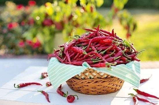 Невролог рассказал о продуктах, помогающих снять боль - pnp.ru - Царьград