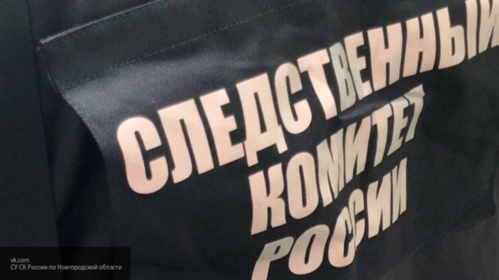 Ирина Волк - СКР выложил в Сеть видео с допросом подозреваемого в убийстве школьницы в Пензе - nation-news.ru - Россия - Пенза