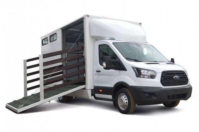 Ford Transit - Ford Sollers - Ford - Ford Transit получил модификацию для транспортировки лошадей - autostat.ru