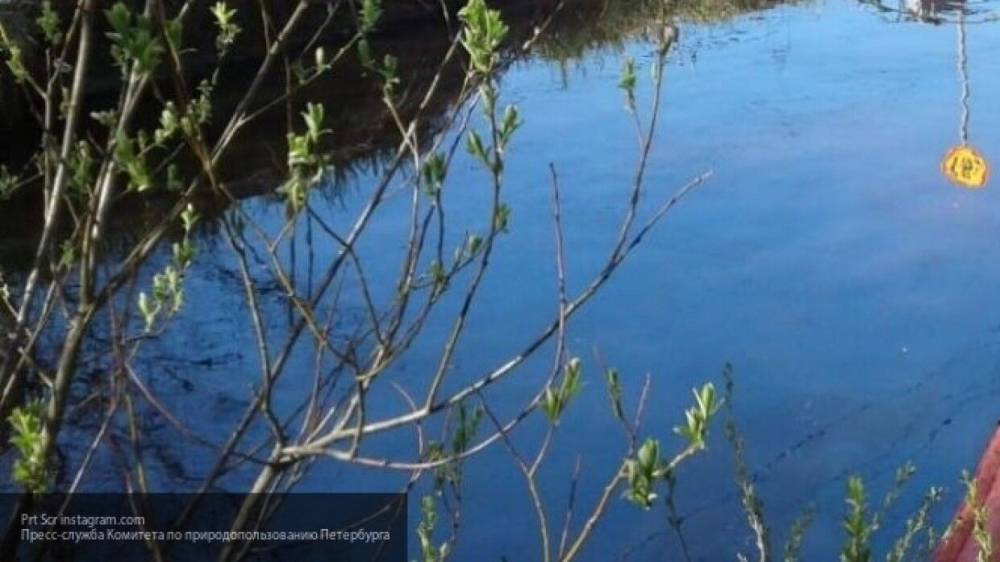 Девушка зависла в воздухе во время падения с тарзанки в Техасе - nation-news.ru - Техас