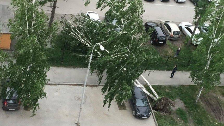 Число жертв урагана в Свердловской области увеличилось до четырех человек - 5-tv.ru - Екатеринбург - Свердловская обл. - Томская обл.