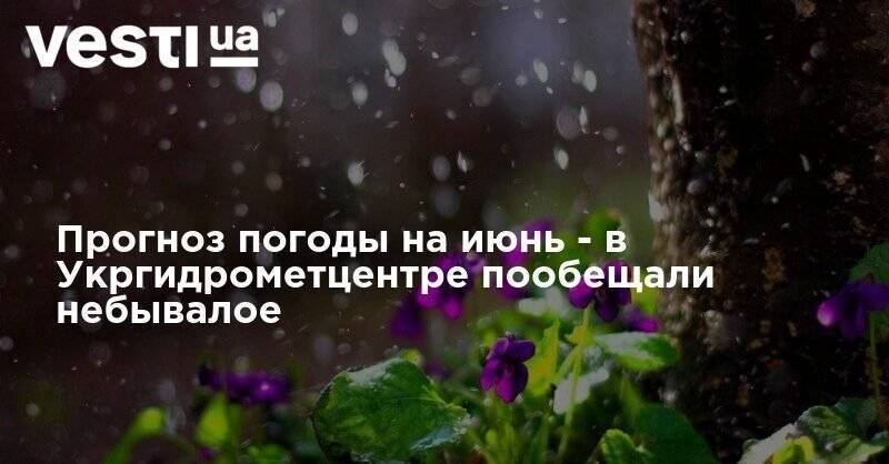 Прогноз погоды на июнь – в Укргидрометцентре пообещали небывалое - vesti.ua - Украина
