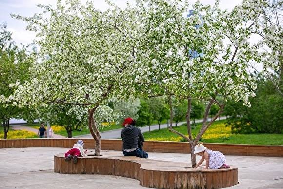 Евгений Куйвашев - В Свердловской области появилась санитарная декларация для загородных лагерей - znak.com - Свердловская обл.