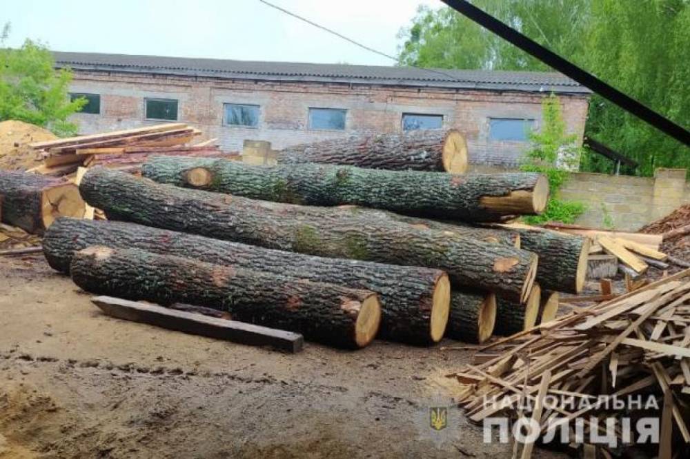 На Волыни прошли массовые обыски по делу о незаконной вырубке и перевозке леса - vkcyprus.com - Волынская обл.