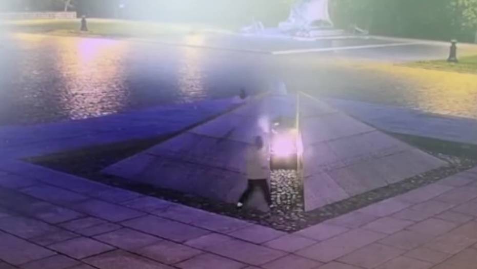 Полиция задержала всех участников пикника у Вечного огня в Кронштадте - dp.ru - Ленинградская обл. - Санкт-Петербург