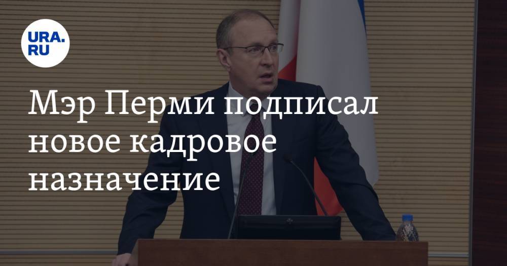 Дмитрий Самойлов - Дмитрий Андреев - Мэр Перми подписал новое кадровое назначение - ura.news - Пермь