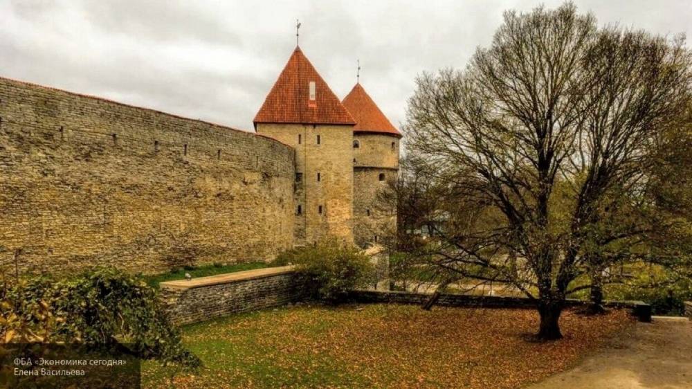 Урмас Рейнсалу - Эстония опасается последствий от реализации плана по спасению экономики ЕС - politros.com - Германия - Франция - Эстония