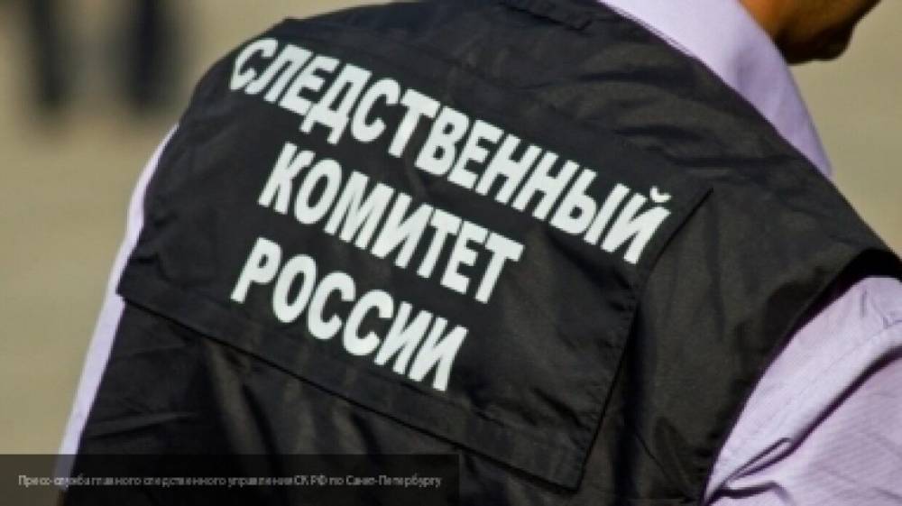 СК РФ выложил видео с задержанием вероятного убийцы 101-летнего ветерана - nation-news.ru - Россия - Тамбовская обл. - район Тамбовский