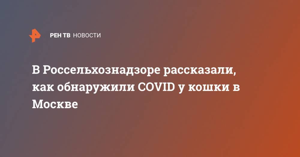 В Россельхознадзоре рассказали, как обнаружили COVID у кошки в Москве - ren.tv - Москва