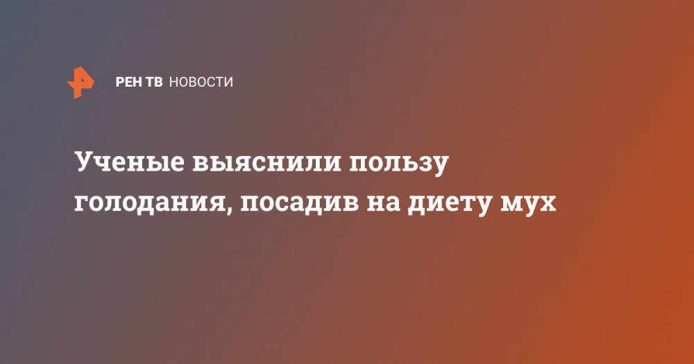 Ученые выяснили пользу голодания, посадив на диету мух - ren.tv