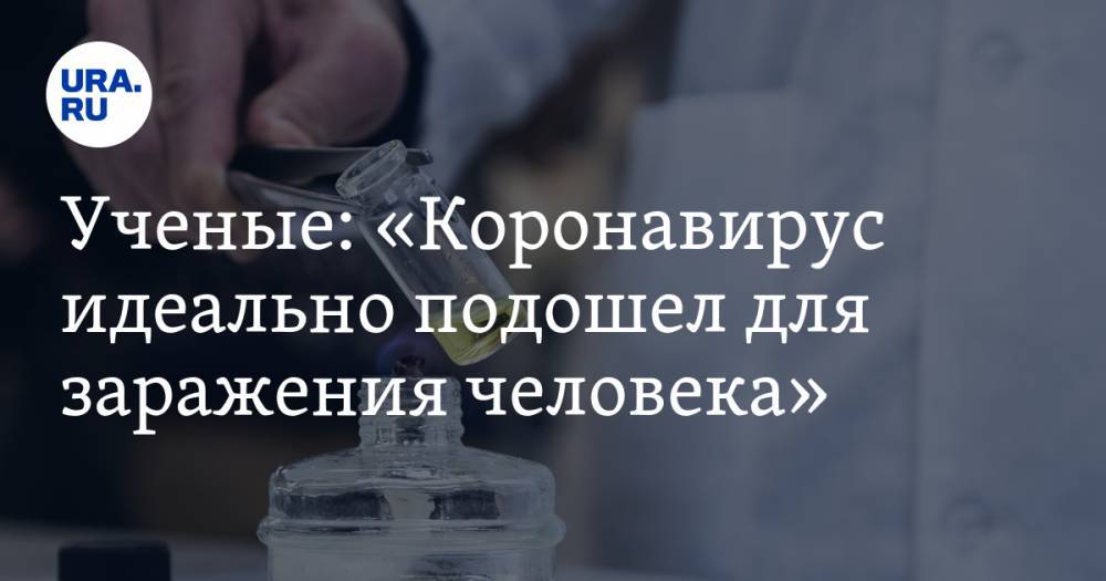 Ученые: «Коронавирус идеально подошел для заражения человека» - ura.news