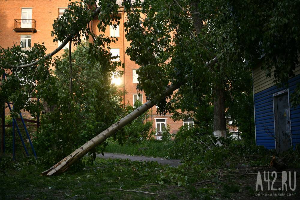 Синоптики прокомментировали сильный шторм в Кузбассе - gazeta.a42.ru - Мариинск