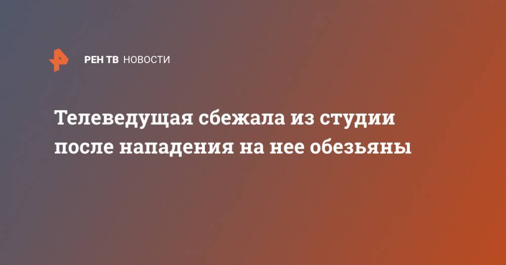 Телеведущая сбежала из студии после нападения на нее обезьяны - ren.tv - Египет