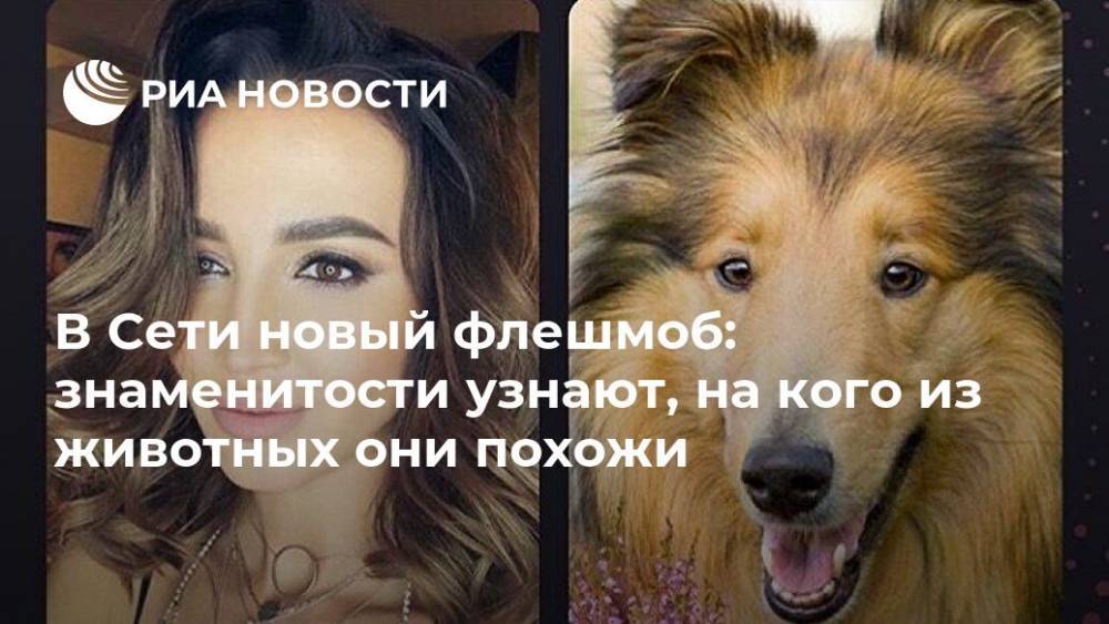 Ольга Бузова - Ксения Бородина - Михаил Галустян - В Сети новый флешмоб: знаменитости узнают, на кого из животных они похожи - ria.ru - Москва