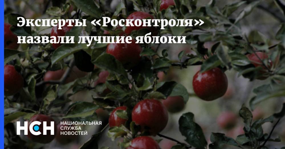 Эксперты «Росконтроля» назвали лучшие яблоки - nsn.fm
