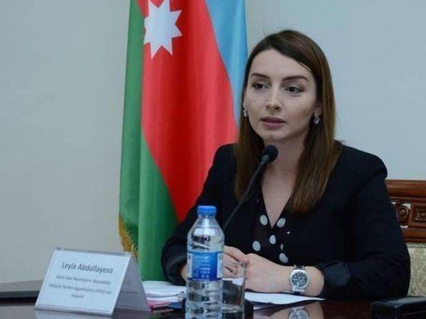 Лейла Абдуллаева - МИД: решение ЕСПЧ не об отмене документа о помиловании Рамиля Сафарова - aze.az - Армения - Венгрия - Азербайджан
