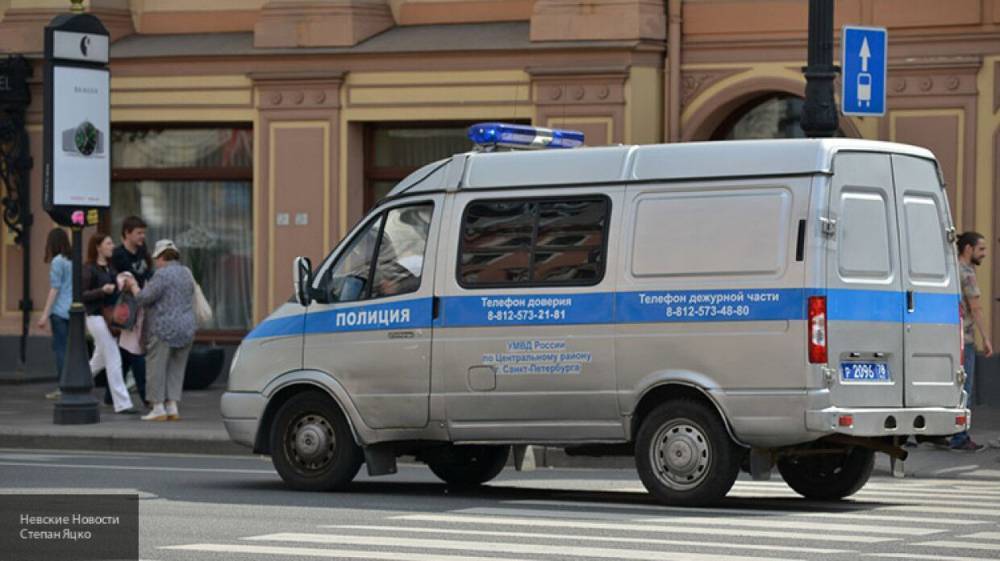 Мария Базарева - Неработающая петербурженка с сообщником ограбила квартиру экс-супруга - nation-news.ru