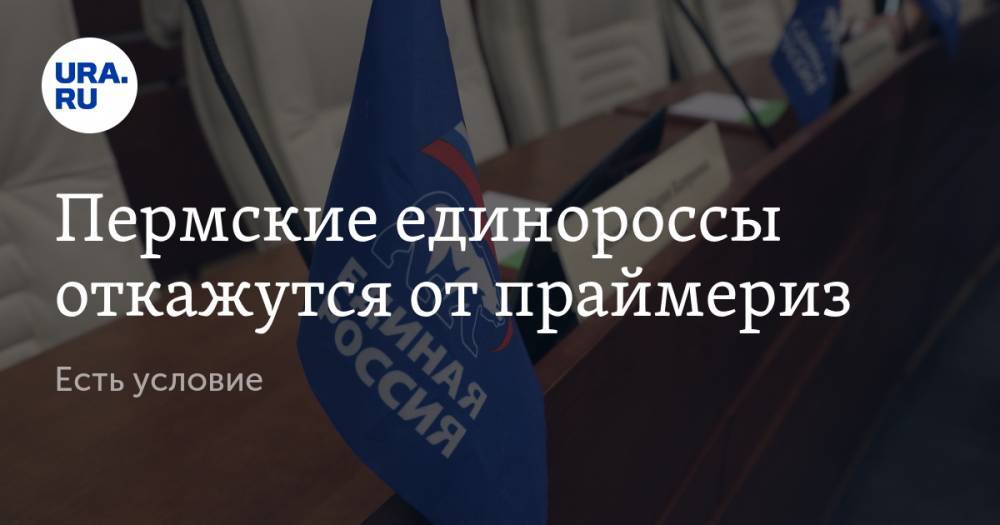 Пермские единороссы откажутся от праймериз. Есть условие - ura.news - Россия - Пермский край