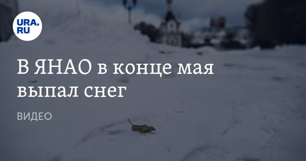В ЯНАО в конце мая выпал снег. ВИДЕО - ura.news - окр. Янао