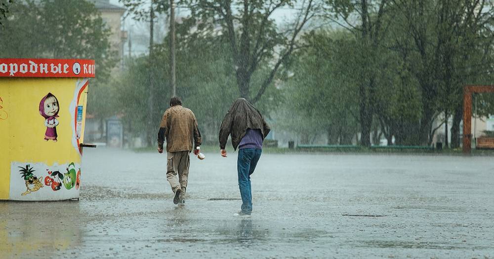 Евгений Тишковец - Синоптики: к концу недели в Центральной части России ливни побьют 45-летний рекорд - readovka.news - Россия - Московская обл. - Калужская обл. - Ярославская обл. - Тульская обл.