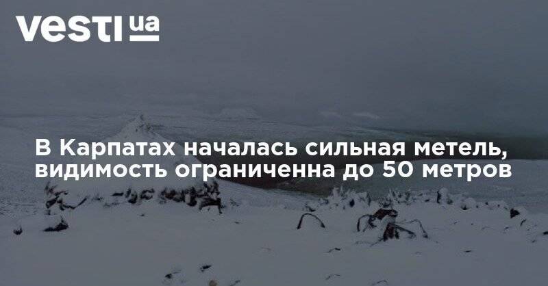 В Карпатах началась сильная метель, видимость ограничена до 50 метров - vesti.ua