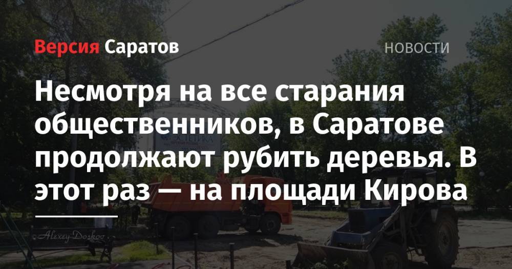 Несмотря на все старания общественников, в Саратове продолжают рубить деревья. В этот раз — на площади Кирова - nversia.ru - Саратов