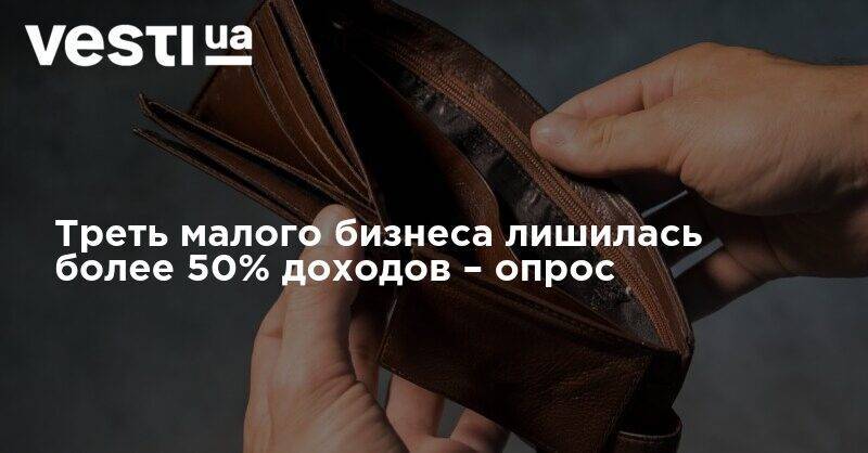 Треть малого бизнеса лишилась более 50% доходов – опрос - vesti.ua - Украина