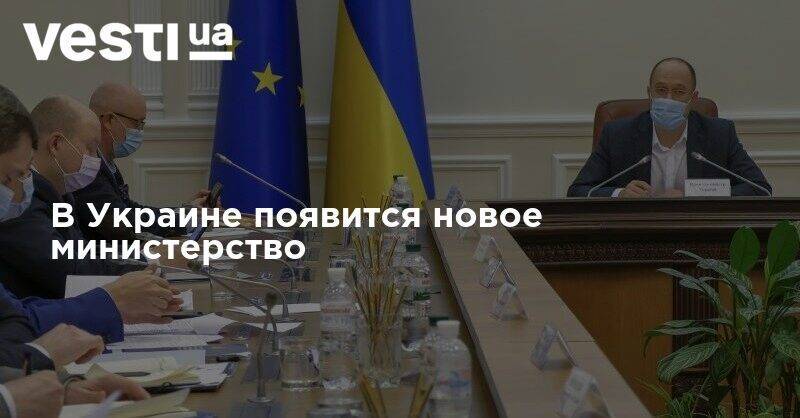 Алексей Гончаренко - Денис Шмыгаль - В Украине появится новое министерство - vesti.ua - Украина