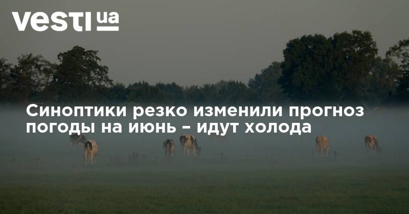 Синоптики резко изменили прогноз погоды на июнь – идут холода - vesti.ua - Украина - Киев