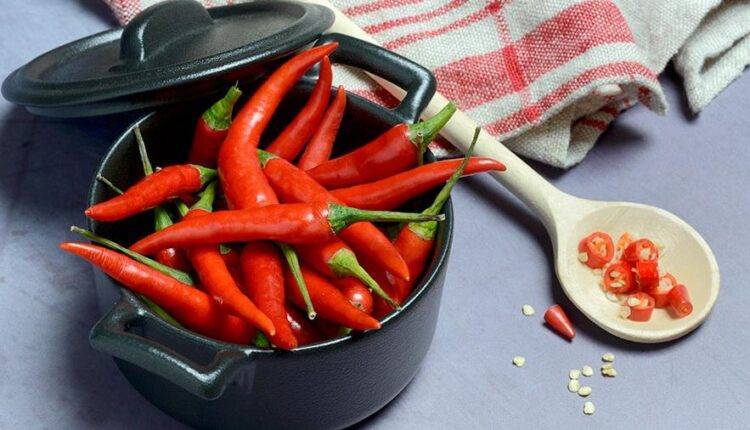 Врач назвал помогающие облегчить боль продукты - newtvnews.ru