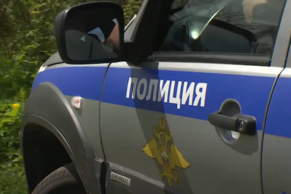 В Псковской области завели уголовное дело после исчезновения девочки - mk.ru - Россия - Псковская обл.