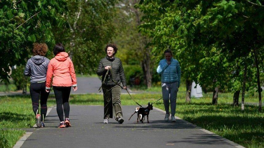 Владимир Путин - Сергей Собянин - Собянин предложил разрешить москвичам гулять по графику «в тестовом режиме» - 5-tv.ru - Москва - Россия