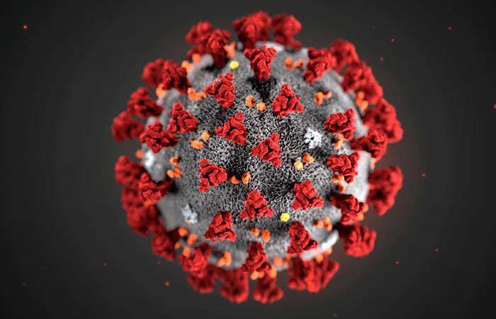 Владимир Путин - Сергей Собянин - Михаил Мурашко - Собянин сказал Путину, что Москве удалось избежать жесткого сценария с коронавирусом - interfax.ru - Москва - Сергей