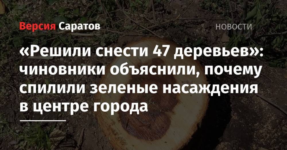 «Решили снести 47 деревьев»: чиновники объяснили, почему спилили зеленые насаждения в центре города - nversia.ru - район Фрунзенский