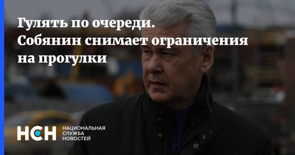 Владимир Путин - Сергей Собянин - Гулять по очереди. Собянин снимает ограничения на прогулки - nsn.fm