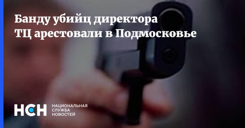 Банду убийц директора ТЦ арестовали в Подмосковье - nsn.fm - Московская обл. - Солнечногорск