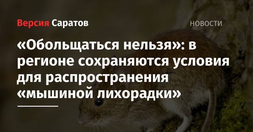 «Обольщаться нельзя»: в регионе сохраняются условия для распространения «мышиной лихорадки» - nversia.ru - Саратовская обл.