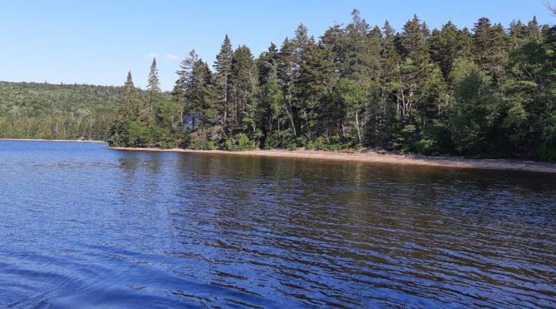 16-летняя девушка проплыла 600 ярдов в холодной воде и спасла отца и младшую сестру - usa.one - штат Мэн