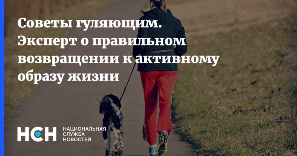 Владимир Путин - Сергей Собянин - Советы гуляющим. Эксперт о правильном возвращении к активному образу жизни - nsn.fm - Москва - Россия