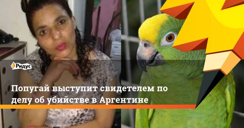 Попугай выступит свидетелем по делу об убийстве в Аргентине - ridus.ru - Аргентина