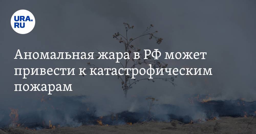Аномальная жара в РФ может привести к катастрофическим пожарам - ura.news - Россия