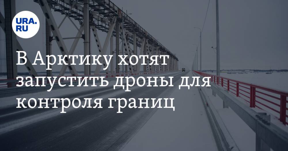 Владимир Кулишов - В Арктику хотят запустить дроны для контроля границ - ura.news - Россия